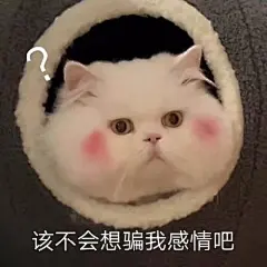 不会表情包的搜索结果_百度图片搜索