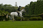 This-Is-Life • breathedreamride: I realize that I am pulling on...