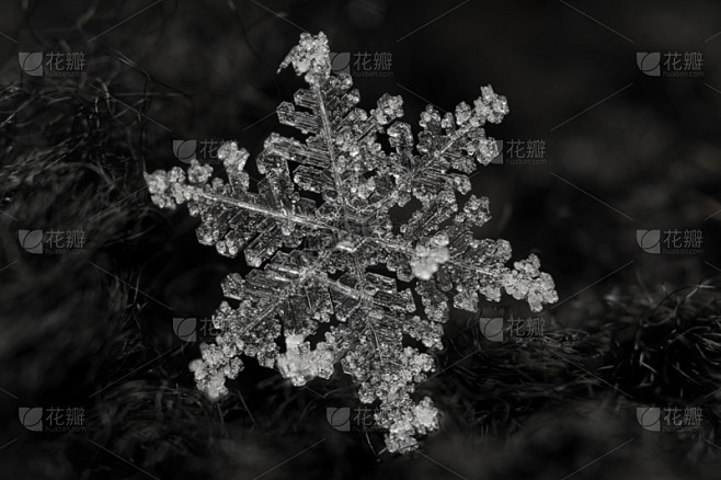 雪花,极限运动,放大效果,大规模的放大,...