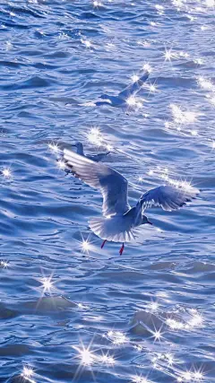壁纸
