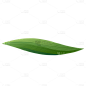 中秋节主题元素插画贴纸-粽叶