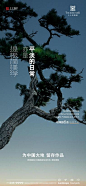 FkhRJimXagB-YUxJ26mYSZjJ0w_o (380×823)
