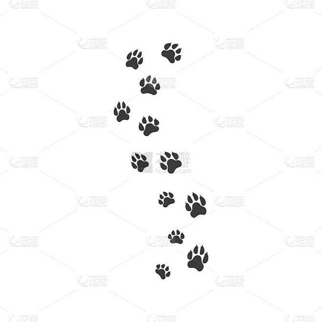 Paw模板矢量图素材-花瓣网