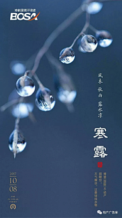 Charl1e采集到寒露