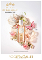 Candice Milon > Overview > Roger & Gallet  | Margot de Roquefeuil - Artist Management : Artworks of category Overview : Roger & Gallet  (Candice Milon)