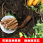 主图2