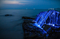 希氏弯喉海萤（学名：Vargula hilgendorfii）：一种介形虫，简称海萤，是生活在海湾里的一种浮游生物，为荧光动物。海萤的身体内有一种叫发光腺的奇特构造，受海浪拍打等刺激时，就会产生浅蓝色的光，一般在六七月份出现，而且是沿着沙滩呈带状。夜间能闪闪发光，科学家称这种生物光为“冷光”。该物种...展开全文c 
