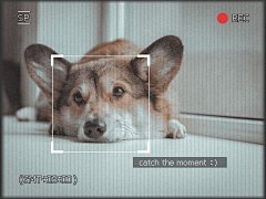 萌宠可爱界面风plog模板