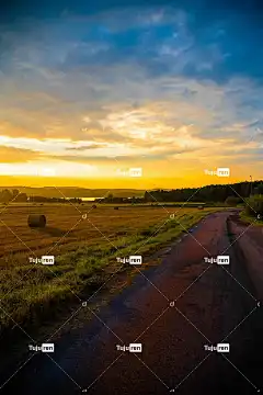 路 路面 海菲尔德 手机壁纸 沥青路 驾驶 自然 巷道 通道
