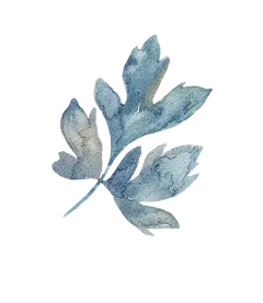 手绘水彩花卉png素材