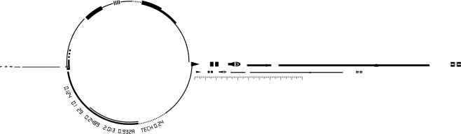 炫酷光效 (118)