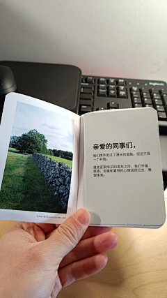 菇凉Q采集到文案