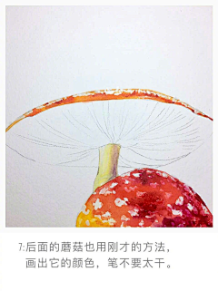 异次元狙击手采集到学习教程