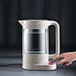 Amazon.com：Bodum 11659-913US Bistro 电水壶，带温度控制的双层壁，1 升，37 盎司，白色：Everything Else