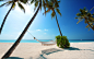 General 1920x1200 nature landscape hammocks beach white sand palm trees sea blue sky Maldives sunlight tropical summer