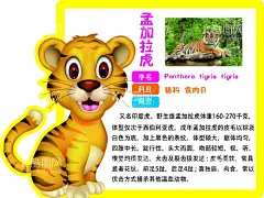 棕熊 动物简介  - 源文件下载【酷图网】棕熊,动物简介,平面广告,psd分层文件,喷绘,海报,写真,卡片,名片,卡券,图版,展架,站牌,价目表,彩页,灯箱,地贴,车贴,不干胶,封面,平面图,折页,模板,桌牌,停车牌,门头,联单,菜谱,设计,PSD分层素材,72DPI,PSD,