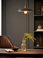 scottmary_the_pendant_light_sits_with_a_book_on_it_in_the_styl_2cef731d-55b8-40e7-9923-a67746defea5.png (944×1264)