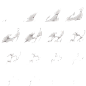 fx_dendrokiram_xulie04