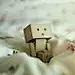 小小阿愣