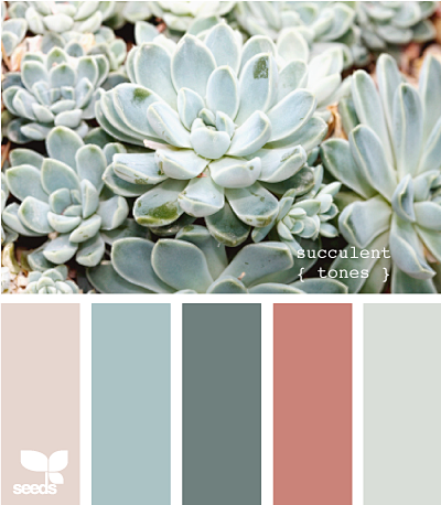 succulent tones