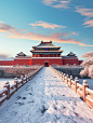 北京故宫：紫禁城银装雪景