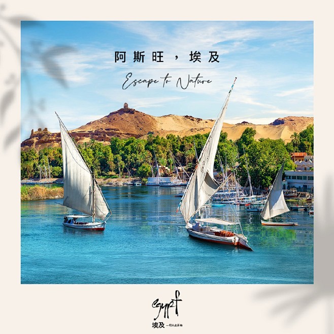 @埃及驻华使馆旅游处 的个人主页 - 微...