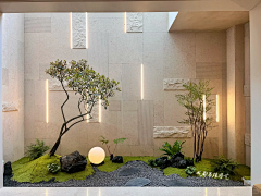 0388E0Ni采集到天井花园