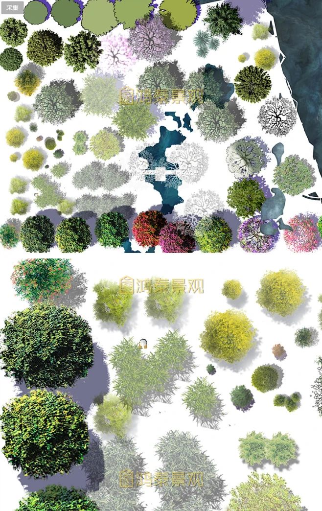 建筑景观高端竞赛风精选彩色平面图植物PSD素材源文件彩平ps素材-花瓣网