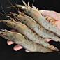 王牌盐冻虾海虾整箱2030大虾鲜活超大虾类海鲜基围虾厄瓜多尔白虾
