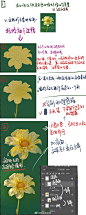 0083Acemgy1h0j3uz3tyuj30qo1ukdyg.jpg (960×2396)