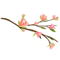 手绘粉色玉兰花花枝花卉花朵元素