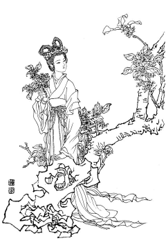 项|羽采集到花纹