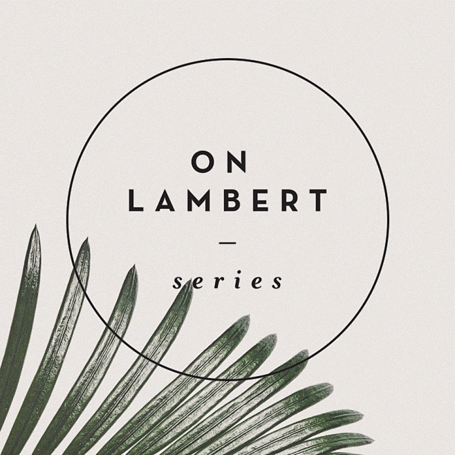 On Lambert Series on...