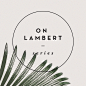 On Lambert Series on Behance