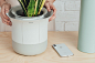 This smart gardening assistant solves the millennial problem of watering your plants while globetrotting! | Yanko Design