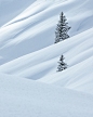 Trees and Peaks : Something different than my usual work where I’m normally focused on some wider landscapes, here some more intimate details from my recent trip to Switzerland.