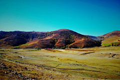 胖墩青青采集到风景