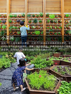 纳尼032采集到C-菜园