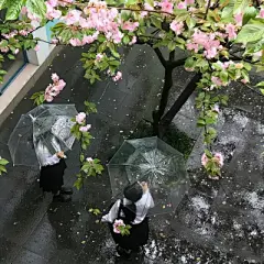 微信背景图 - 高清图片，堆糖，美图壁纸兴趣社区