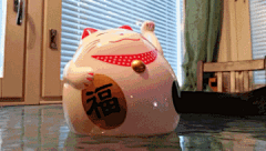 Mawson墨森采集到萌