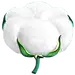 棉