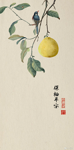 瑰梵采集到柿子