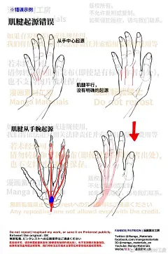 个人笔记：手掌与手背更多关于的#绘画参考#⬇️手的基本·骨骼和肌肉的解说网页链接手的手掌·手背的可动：基本解说网页链接#漫画素材工房##漫画##绘画##手绘##mangamaterials##手掌##手背#​