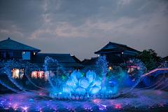 数♥数采集到水