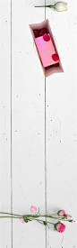 文艺植物叶子banner网页电商首页横幅背景底纹海报PSD分层素材-淘宝网