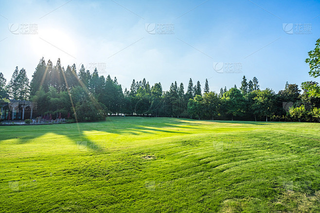 绿色草坪，现代建筑