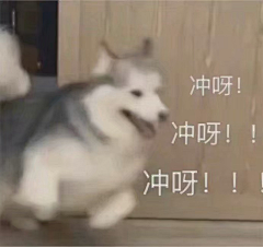 慥物弄人采集到表情包 搞笑   gif