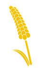 小米