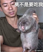 竹鼠表情包近日@华农兄弟 因为自己养殖了不少竹鼠，拍了很多视频放到网上，