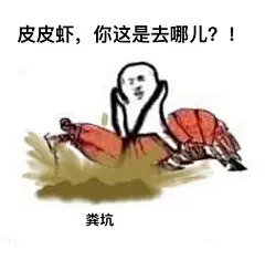 皮皮虾今天哪儿也不想去了… ​​​​